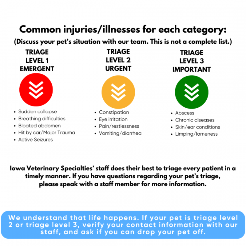 Common Injuries